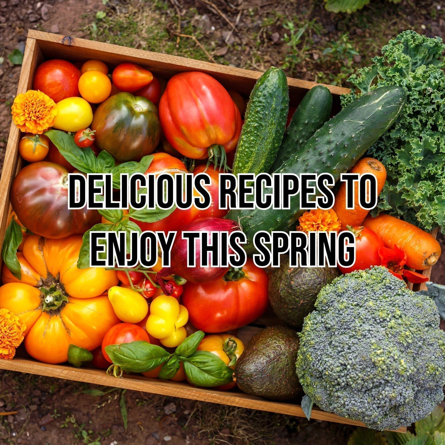 Delicious Recipes To Enjoy This Spring