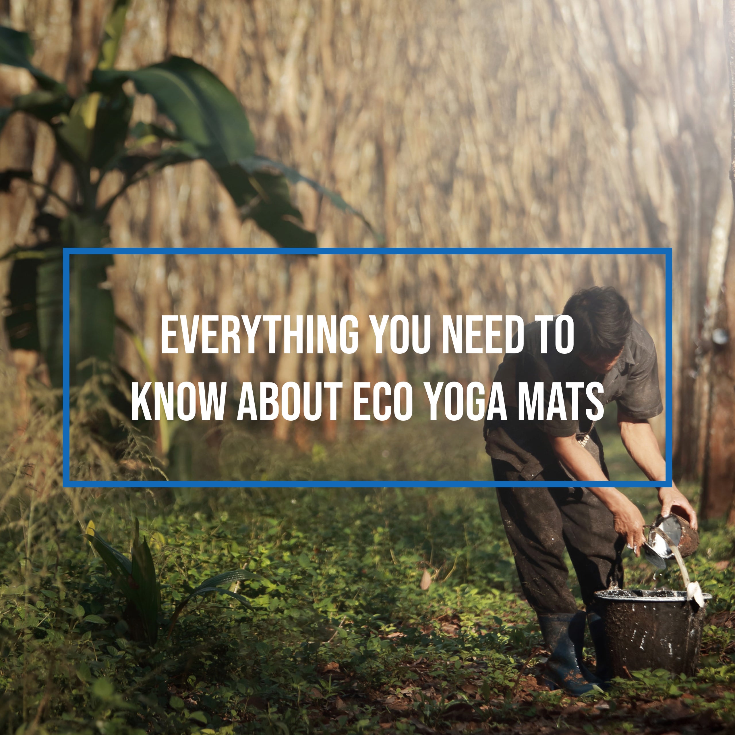 Everything You Need To Know About Eco Yoga Mats