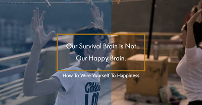 Our Survival Brain is Not Our Happy Brain
